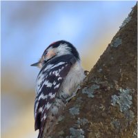 "...Он оглянулся посмотреть,..." :: Валентин Котляров