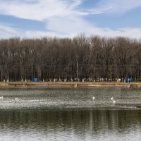 Городское водохранилище :: Игорь Сикорский