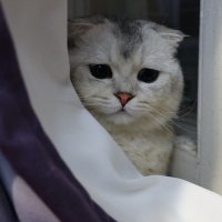 Рассекретили). :: Марина Леонидовна