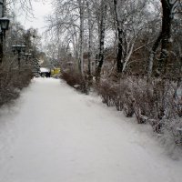 Прогулка городом :: Роман Савоцкий
