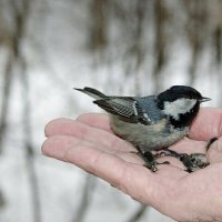 А здесь уютненько! :: Галина Нестратова