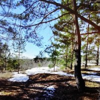 Март в лесу :: Людмила Смородинская