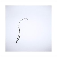 * :: Александр Иванов