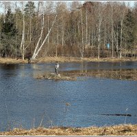 *** :: Aleksandr Gal