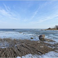 Калининградский залив. :: Валерия Комова