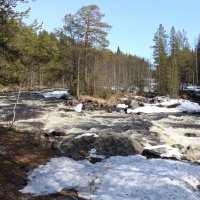 Весенняя Колвица :: Ольга 