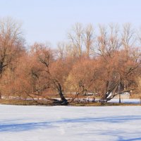 ВЕСЕННЕЕ :: Виктор Никитенко