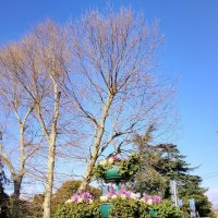 ПОРТ :: Tata Wolf