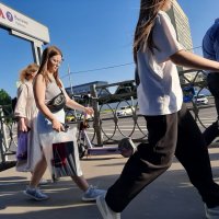 *** :: Владимир Захаров