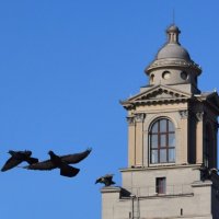 Полетели! :: Надежда 