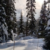 Зима :: Радмир Арсеньев