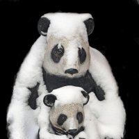 зоопарк зимой :: Михаил Бибичков