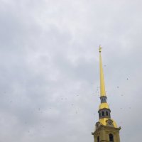 Собор Петропавловский :: Serega SchütZ