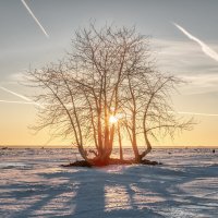 Март :: Владимир Колесников