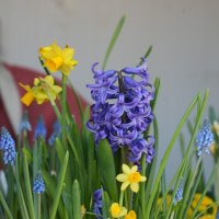 Весна ... :: Lersa 