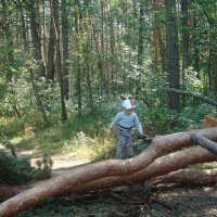 сейчас растащу!.. :: Галина Флора