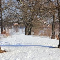 Перезимовали :: Евгений Корьевщиков
