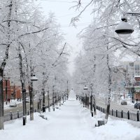 *** :: Лариса С.