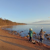 Дети кормят птиц. Финский залив. :: Лилия * Дети кормят птиц. Финский залив. :: Лилия *