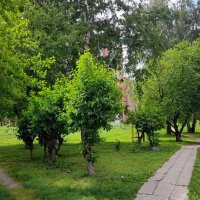 Вспоминая прошлый май . :: Мила Бовкун