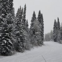 Снежный день!!! :: Радмир Арсеньев