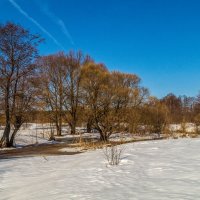 Середина марта 5 :: Андрей Дворников