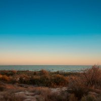 *** :: Елена Алексеева