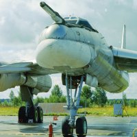 Праправнук Ильи Муромца. :: Олег Чернов