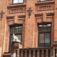 Центр семейного здоровья! :: Надежда 