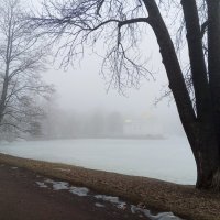 Туман :: Сапсан 