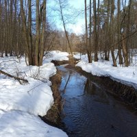 Март в Измайловском парке :: Андрей Лукьянов