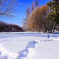 Март...Весна света в церковном парке! :: Владимир 