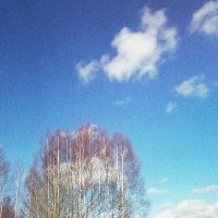 Красота :: Людмила Смородинская