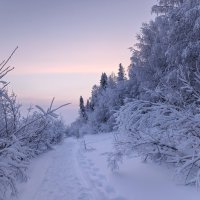 Берегом зимней реки :: Ольга Чистякова
