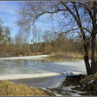 *** :: Aleksandr Gal