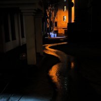 * :: Сергей Полянский