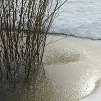 Весенний сюжет :: Сергей Курников