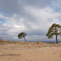 Побережье Байкала :: Сергей Герасимов