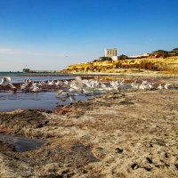 Берег Каспия :: Анатолий Чикчирный