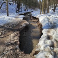 Река Городня :: Игорь Ч.