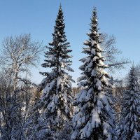 Зима :: Радмир Арсеньев