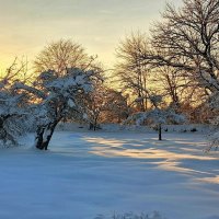 Зима :: Анатолий Портнов