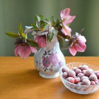 боярышник и морозник :: Надежда Куркина