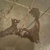 ПАСТУХ НА ПРИВАЛЕ :: Юрий Вовк