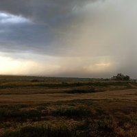 Перед ливнем :: svk *