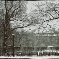 My magic Petersburg_02419_в Таврическом саду :: Станислав Лебединский