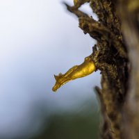 в любимом парке :: Осень в любимом парке :: Осень