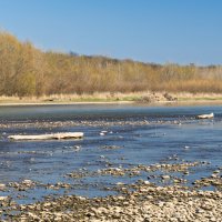 Река Кубань :: Игорь Сикорский