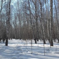 В городском парке :: Галина Нестратова