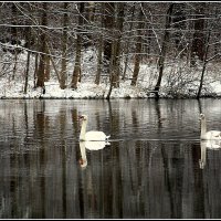 Зима заканчивается... :: Aleksandr Gal